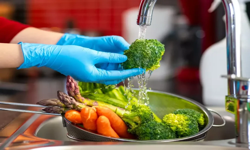 HACCP for Food Handlers, Restaurants, and Cafés in Ireland